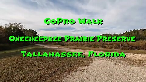 GoPro Walk at Okeeheepkee Prairie Preserve - Tallahassee, Florida