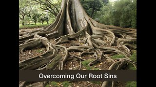 Holier, Happier, Healthier New Year Identifying & Rooting Out Our Principal Sins VI