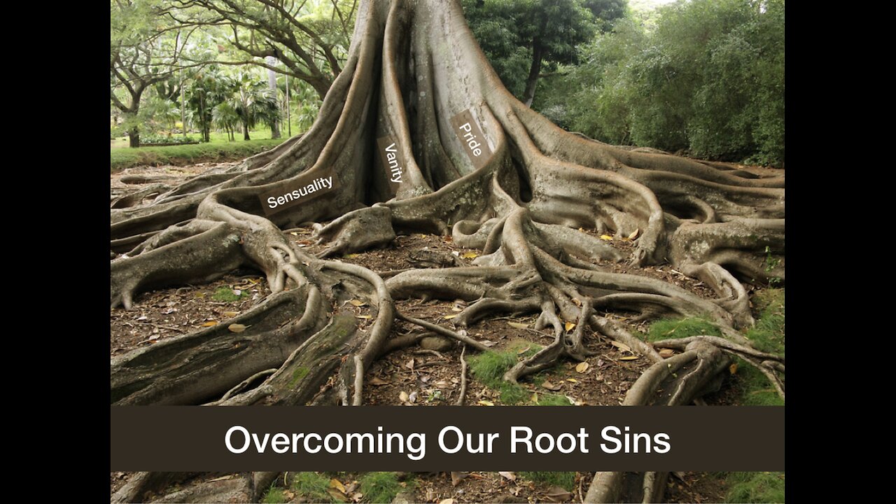 Holier, Happier, Healthier New Year Identifying & Rooting Out Our Principal Sins VI