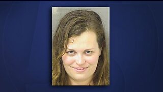 PBSO: Mar-a-Lago crash suspect picked up mother at airport in bullet-riddled car