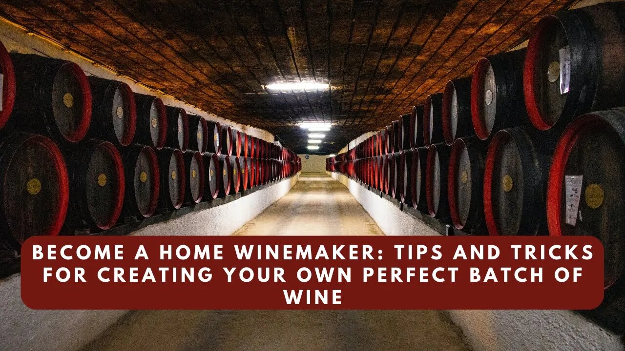 Become a Home Winemaker Tips and Tricks for Creating Your Own Perfect Batch of Wine #wine