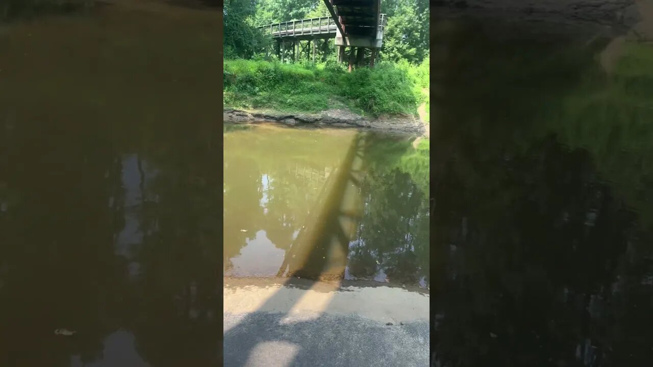 Happy Friday! It’s the weekend! Fishing at the creek #fishing #outdoors #weekend