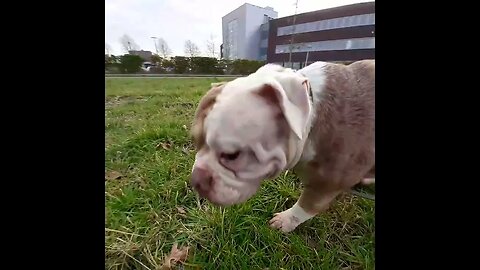 Famke & Winnie in sneek