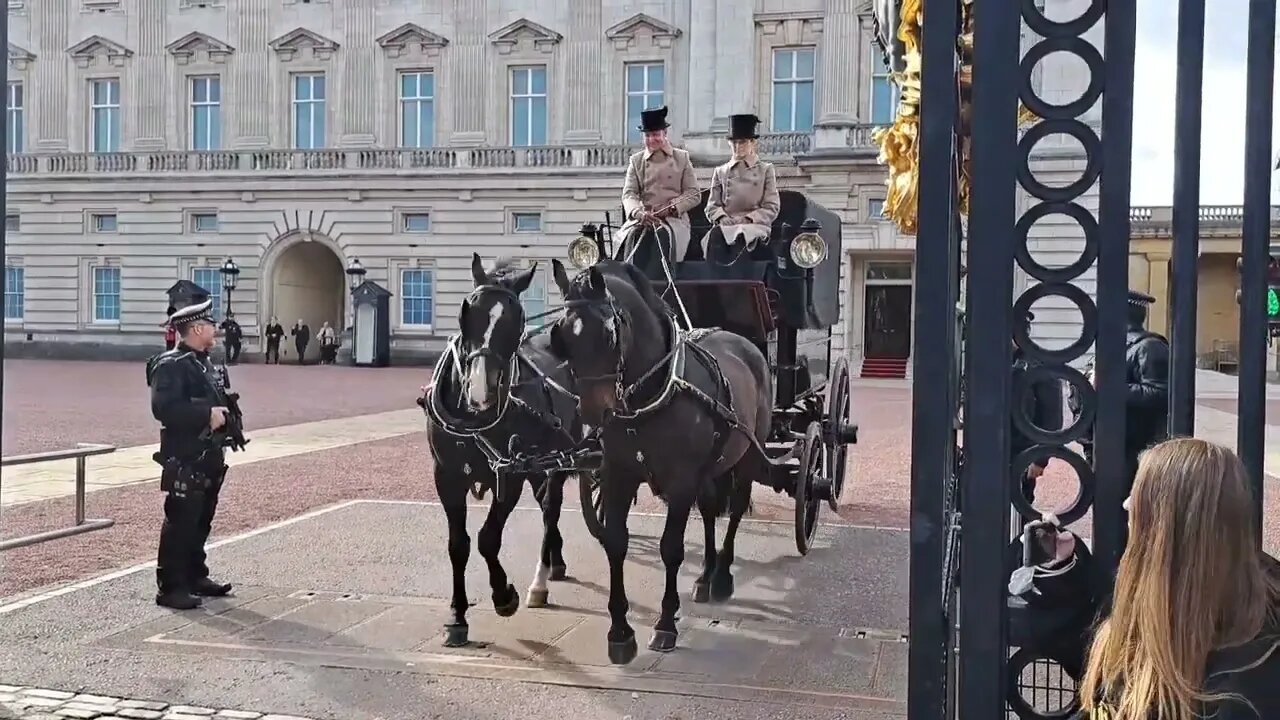 Horse and carage Buckingham Palace yeoman warders in the back of the carage #horseguardsparade