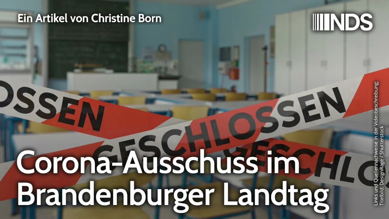 Corona-Ausschuss im Brandenburger Landtag | Christine Born | NDS-Podcast