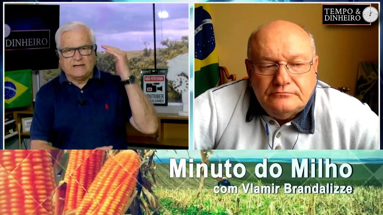 Milho sofre com seca no RS