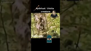 mythical little creatures