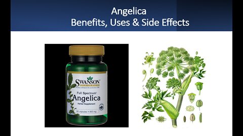 Angelica - Benefits, Uses & Side Effects
