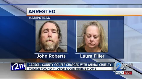 Two charged with animal cruelty after 11 dogs found dead inside Carroll County home