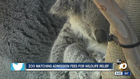 San Diego Zoo, Safari Park match one-day admission dollars for Australia