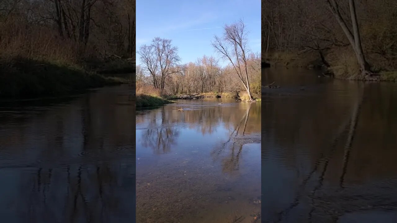 beautiful autumn river canal!