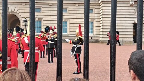 House hold cavalry musical band #buckinghampalace