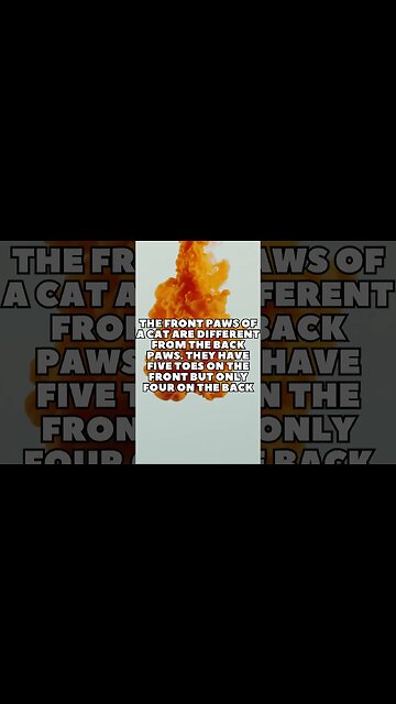 Incredible Random Facts That Will Expand Your Mind! [2023] #shorts #facts #viralshorts #fyp #life