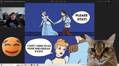 Cinderella And Her Cats And More! 🤣
