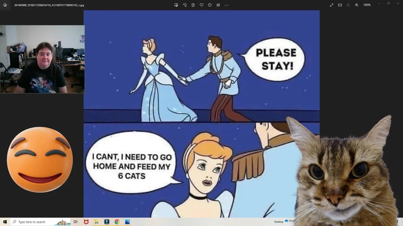 Cinderella And Her Cats And More! 🤣