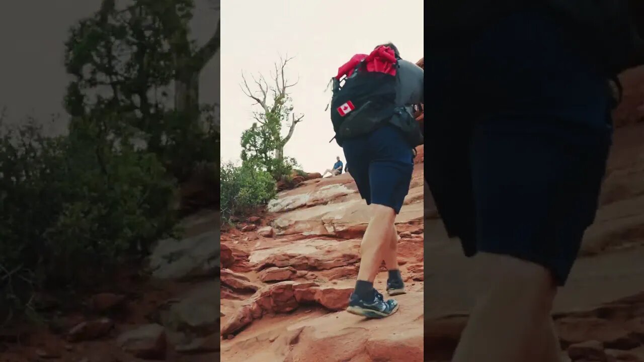 Canyon Overlook, Zion National Park