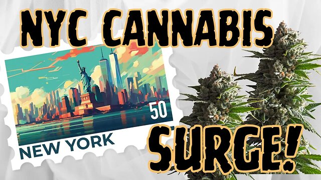 🌿 New York's CANNABIS MARKET is on the BRINK