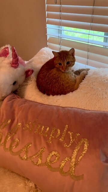 Hopelessly Devoted To You