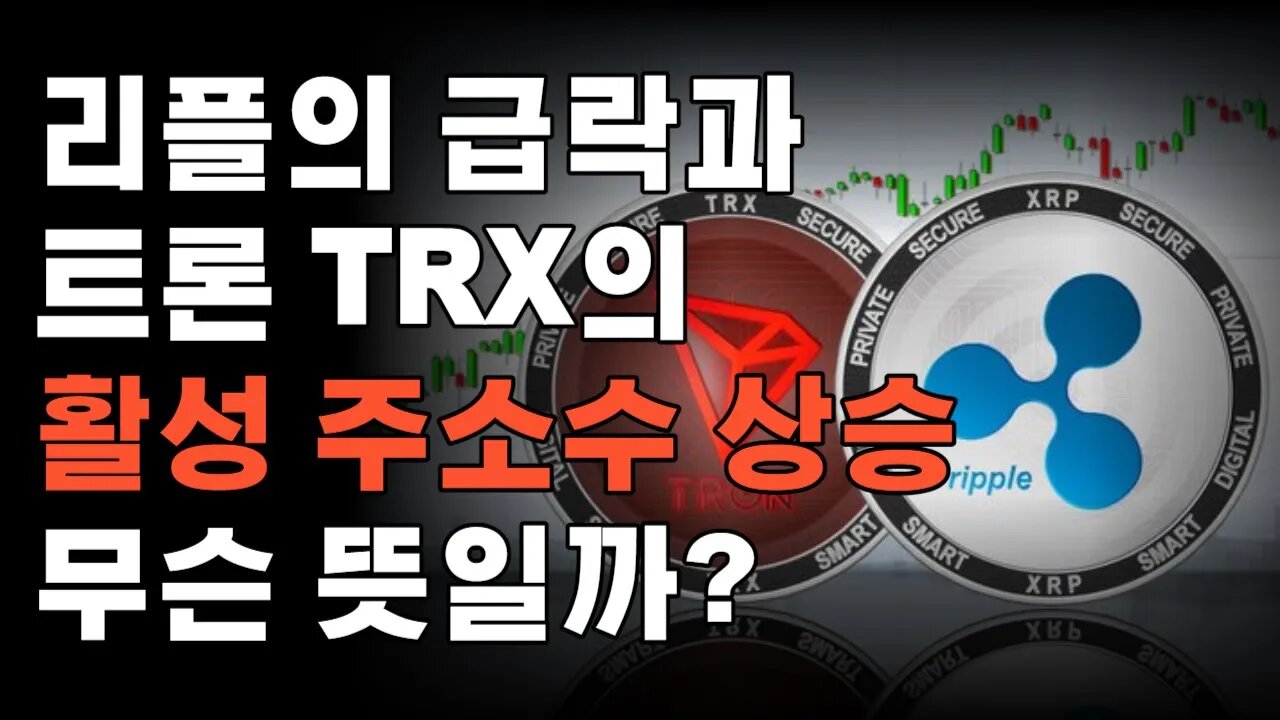 트론 활성 주소수 폭증! 리플 팔고 트론 사야되나요?|쩔코TV 9월1일 #리플 #트론 #xrp #tron #코인전망 #코인분석 #차트공부