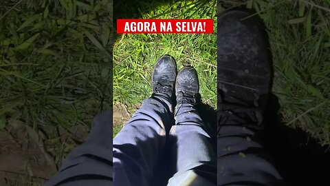 URGENTE! AGORA NO BREJO AO VIVO MELHOR LUGAR PARA ESTÁ #shorts