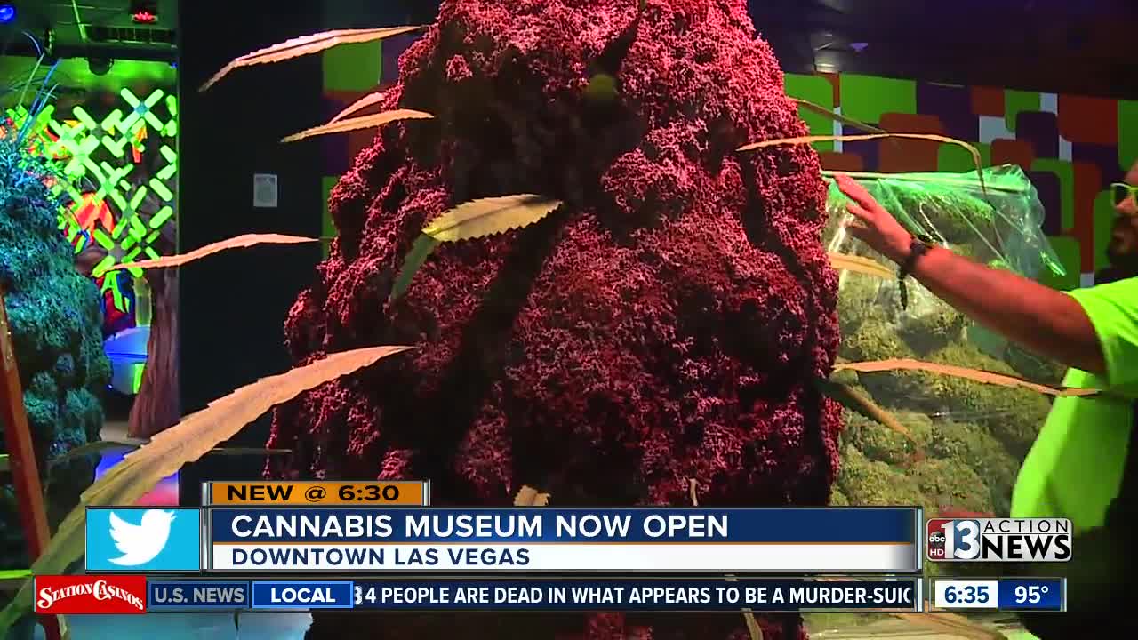 Giant bong, huggable buds: Marijuana museum opens in Vegas