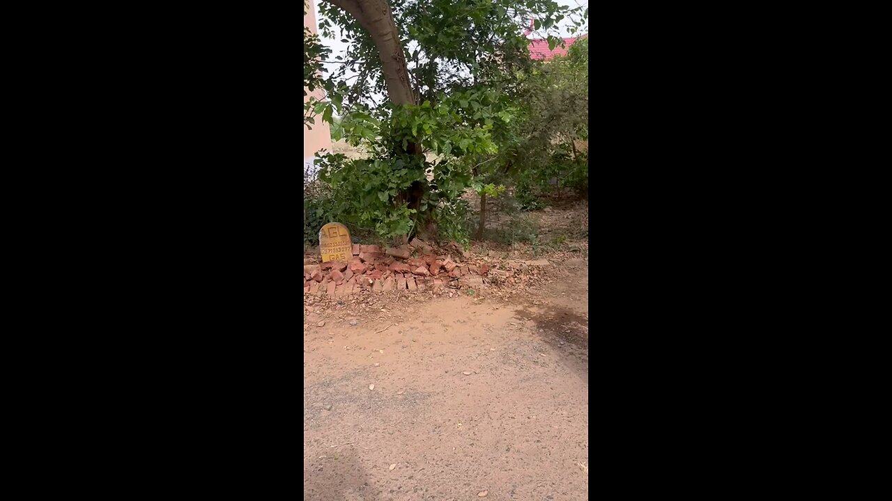 car crash