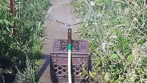 Peaceful urban gardening