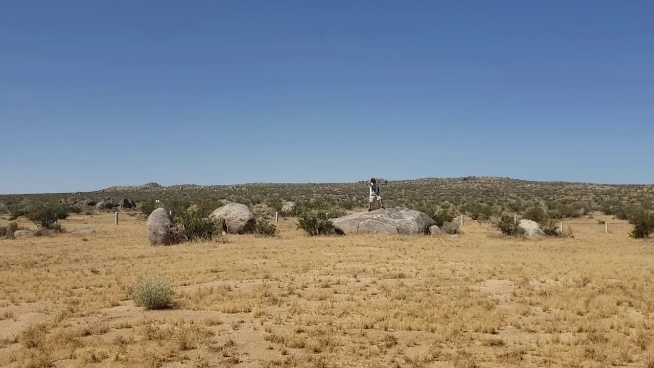 Shapeshifter Zorg Found in Ridgecrest CA, after Binge Watching Stranger Things