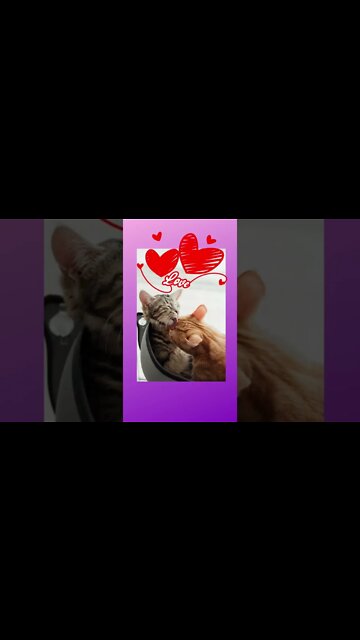 Amor escondido! #shorts