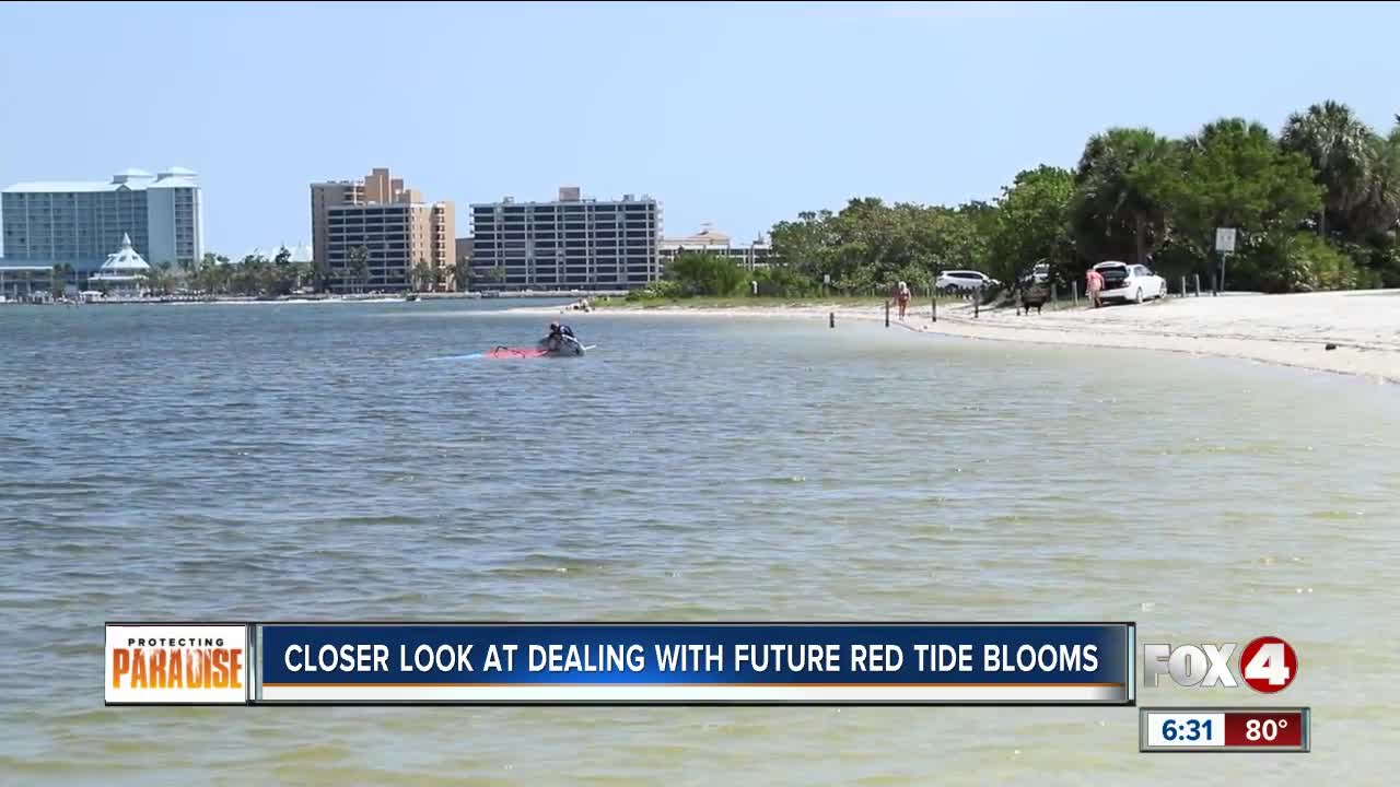 CROW: Three birds dead from red tide poisoning