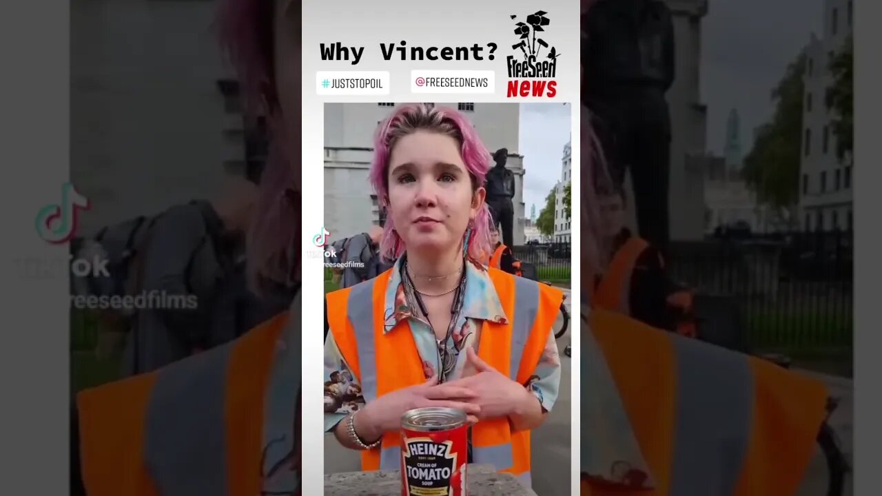Just Stop Oil Phoebe Plummer Explains Why They Chose That Painting #vangogh #juststopoil