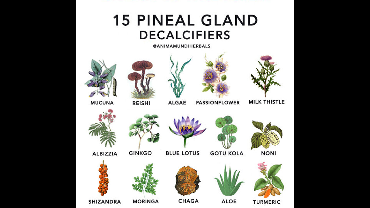 Decalcify Your Pineal Gland