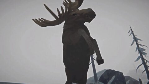 Cute Moose