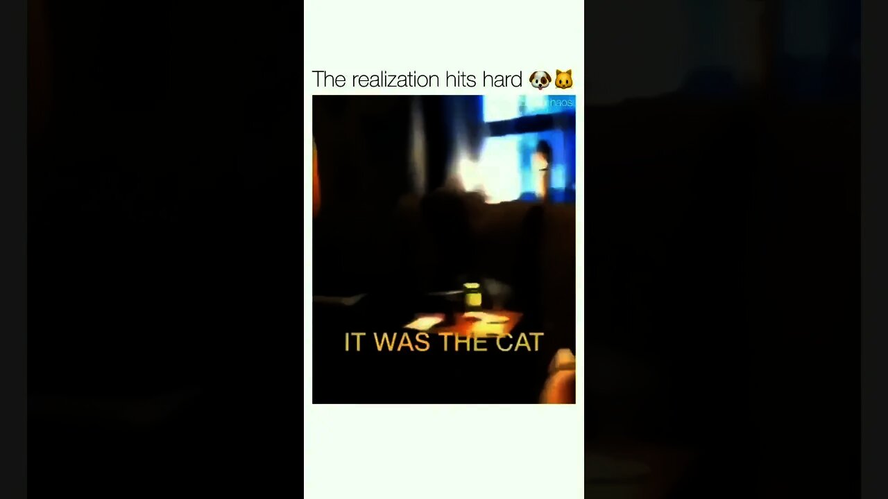 This was too much for me 😂😂😂🐶