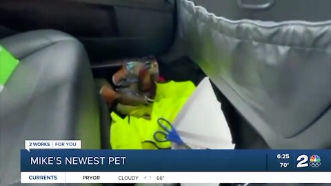 Mike's Newest Pet