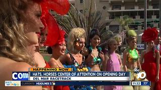 Hats & horses center of attention on opening day