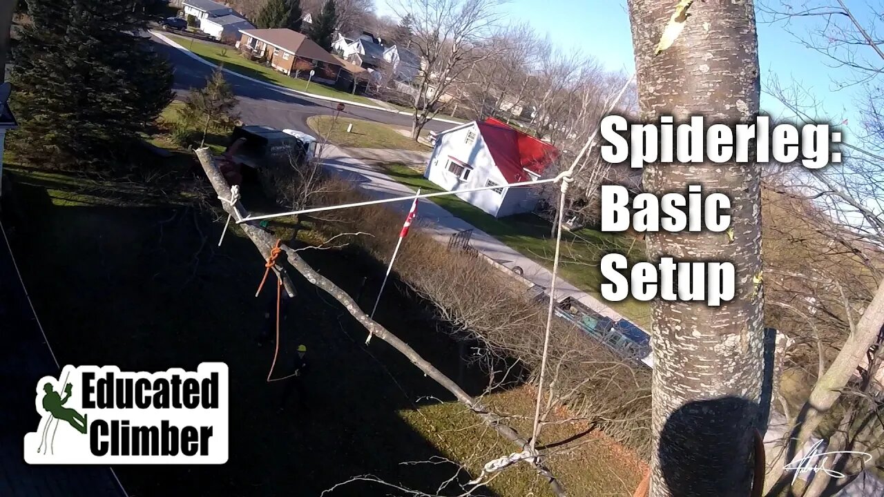 Spider Leg: Basic Setup | Arborist Rigging