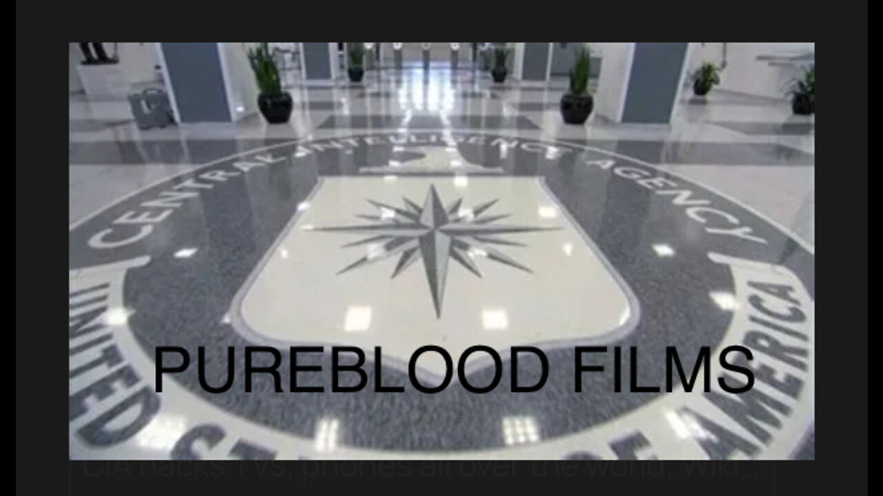 PARTY IN THE CIA - PUREBLOOD FILMS