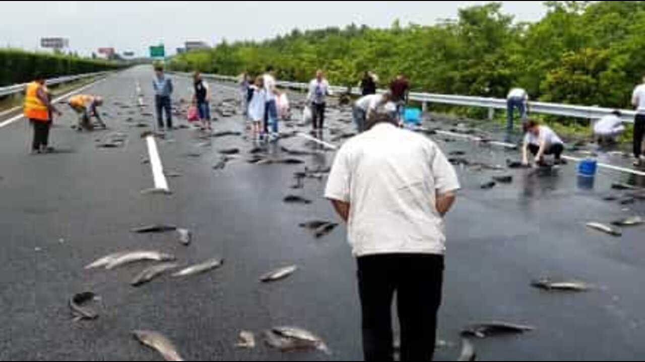 Drivers go fishing on Chinese highway