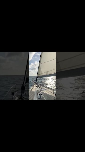 Sailing into the sunset for sailing lovers! #shorts