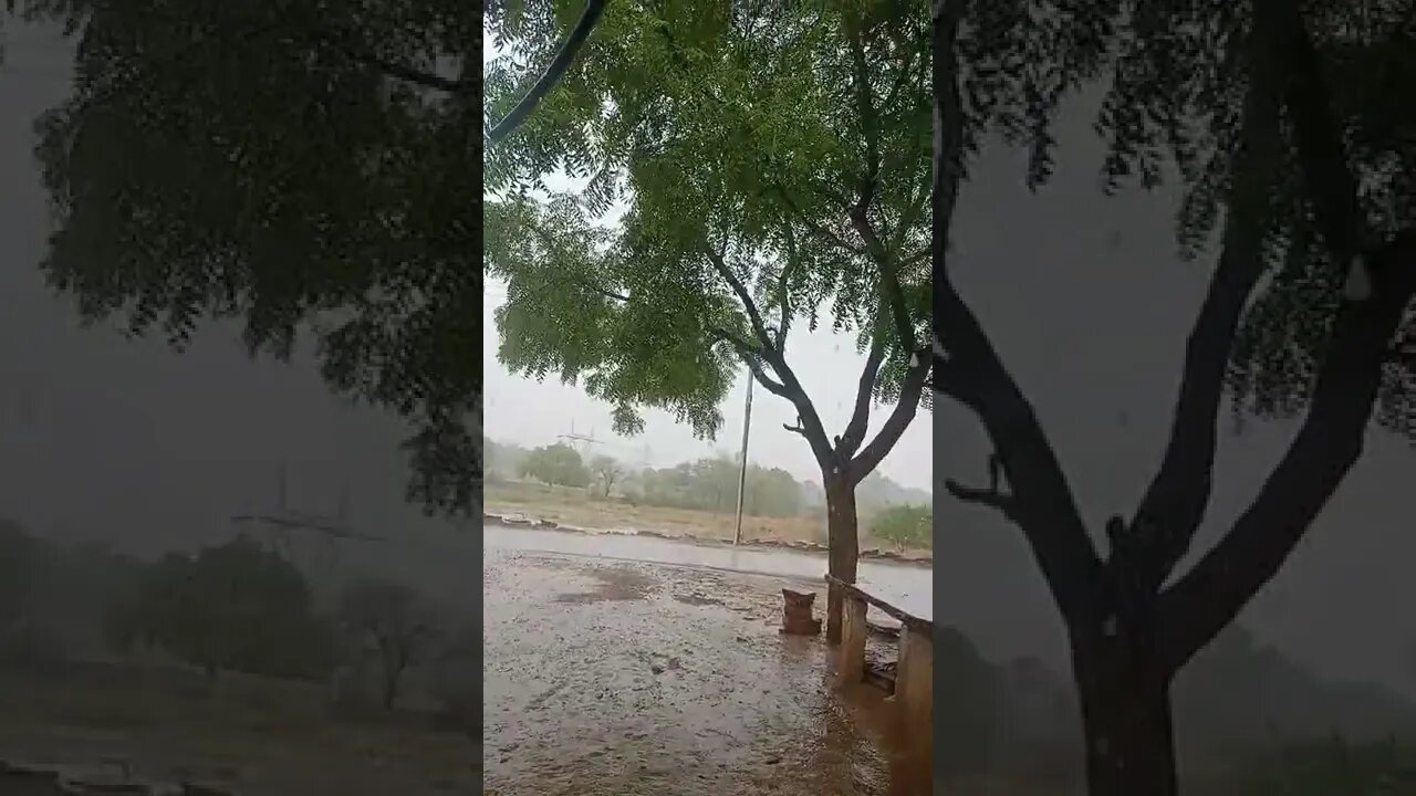 pahli barish WhatsApp status