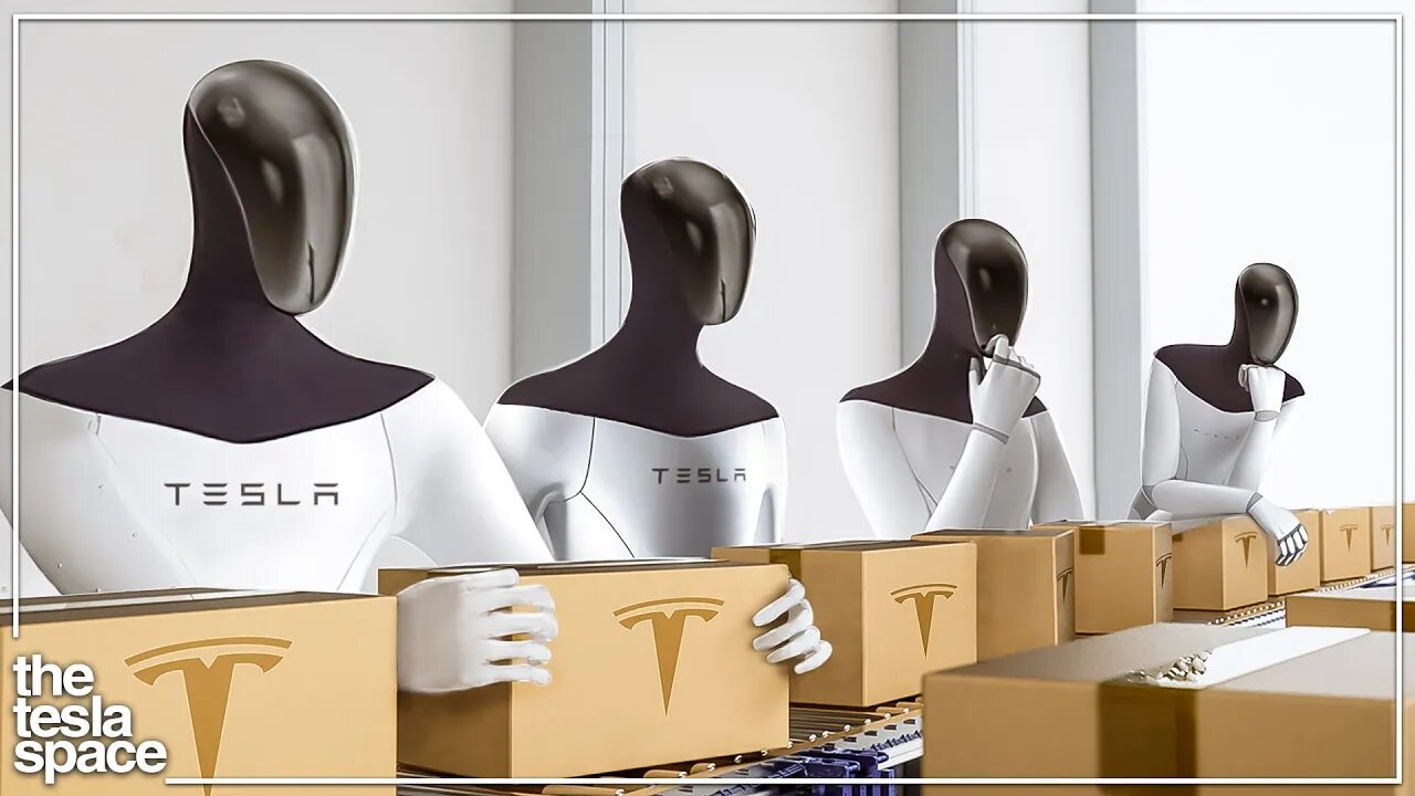 The Real Reason Elon Musk Is Developing The Tesla Bot!