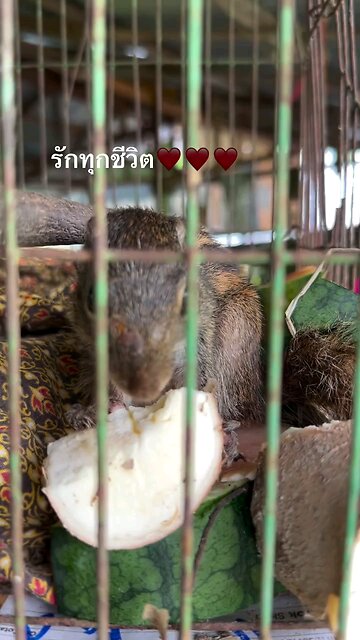 Farmer Female Model Life #modellife