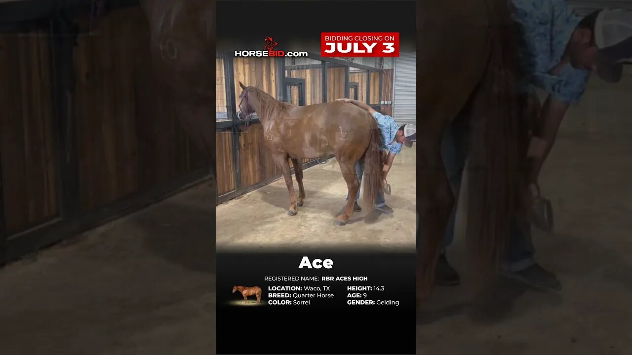 ▲CE