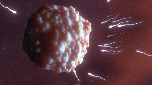 FW: Thinking: Gene Drives: Saving lives or powering extinctions?