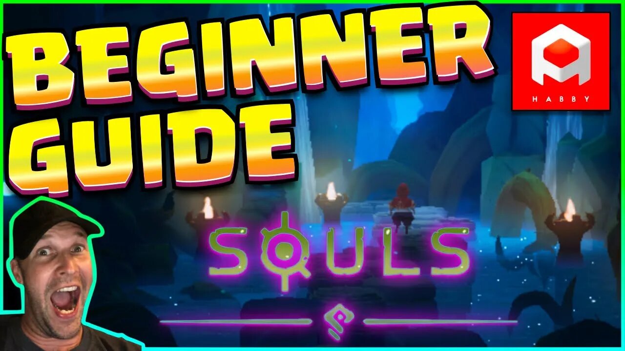 Souls Beginner Guide - EVERYTHING You NEED to Know!!