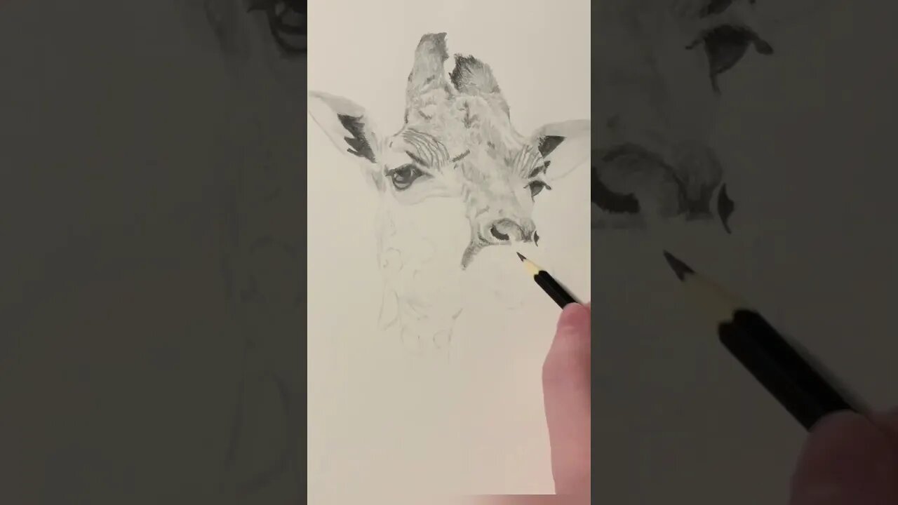 Giraffe drawing #art #artist #timelapse #giraffe #giraffedrawing