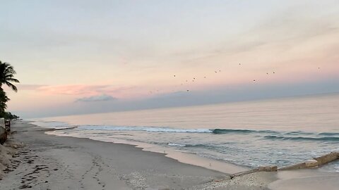 THE MAR-A-LAGO BEACH FLORIDA = 185 ⭐️🌴