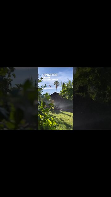 Backyard Crops Progress