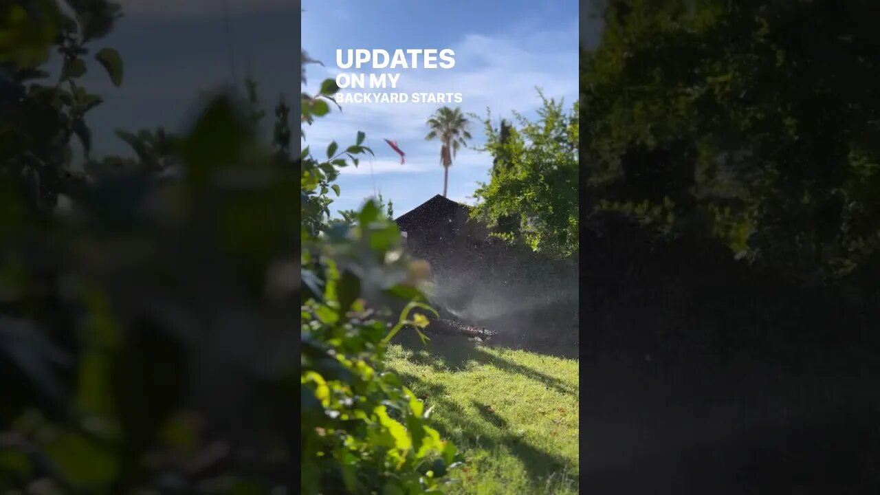 Backyard Crops Progress